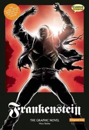 Frankenstein The Graphic Novel