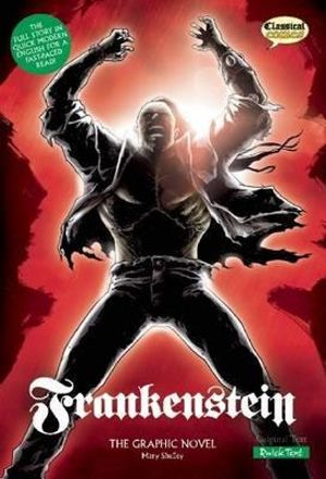 Frankenstein The Graphic Novel
